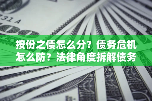 武汉按份之债怎么分？债务危机怎么防？法律角度拆解债务分配与风险自保指南