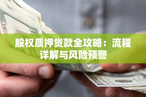武汉股权质押贷款全攻略：流程详解与风险预警