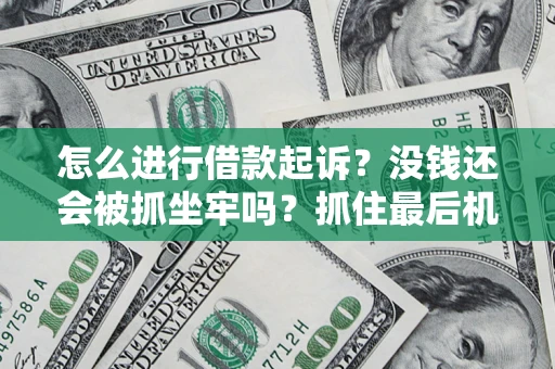 武汉怎么进行借款起诉？没钱还会被抓坐牢吗？抓住最后机会！