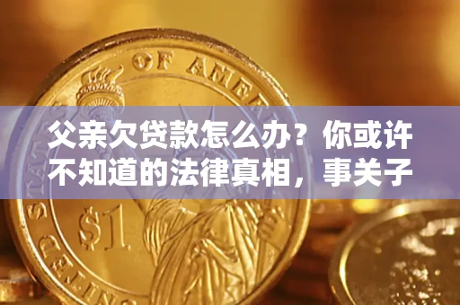 武汉父亲欠贷款怎么办？你或许不知道的法律真相，事关子女未来