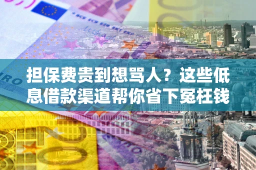 武汉担保费贵到想骂人？这些低息借款渠道帮你省下冤枉钱